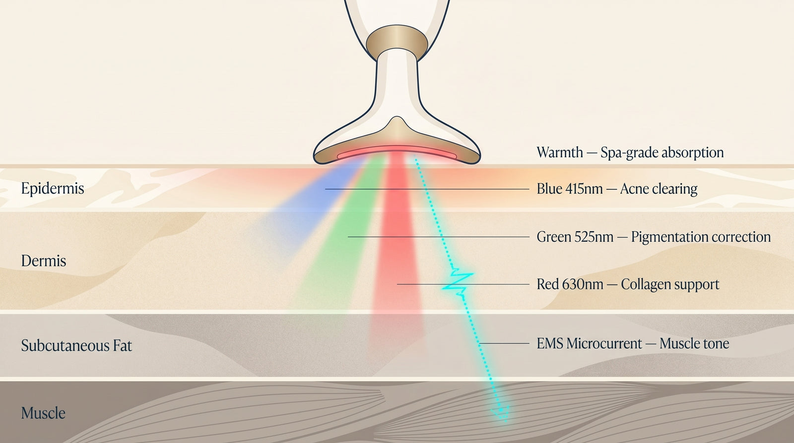 Skin cross-section showing Red 630nm, Blue 415nm, Green 525nm, EMS microcurrent, and warmth modality depths